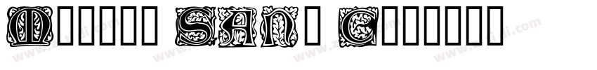 Morris Sans Com字体转换
